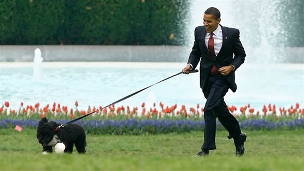 القبض على أمريكي لاتهامه بالتخطيط لاختطاف كلب “أوباما”