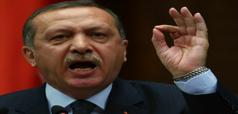 أردوغان: سنطرد القوات السورية لما وراء مواقع المراقبة بإدلب هذا الأسبوع