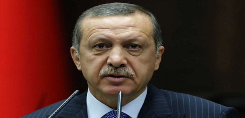إردوغان: الليرة مستهدفة والتقلبات ستزول