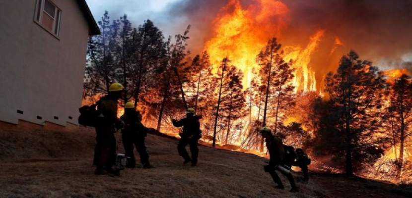 ارتفاع حصيلة ضحايا الحرائق بولاية كاليفورينا إلى 31 حالة وفاة