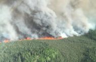 موسم حرائق الغابات في ألبرتا قد يكون شديد الحدّة هذا العام