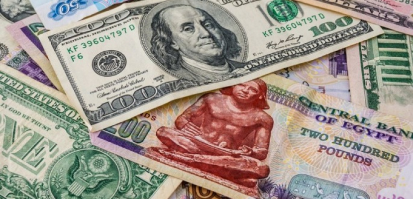 استقرار سعر الدولار امام الجنيه في البنوك الحكومية والخاصة