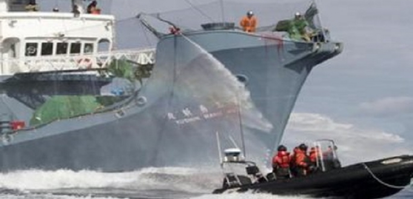 كوريا الشمالية تحتجز طاقم سفينة صيد روسية بسبب انتهاكها للوائح الدخول