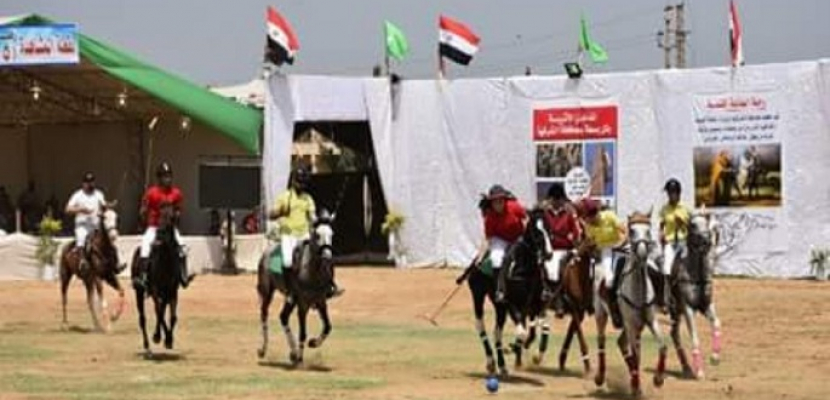 الشرقية تستعد لاستضافة مهرجان الخيول العربية بمشاركة 64 دولة
