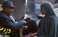 “ورد مسموم” يمثل السينما المصرية في مسابقة الأوسكار