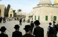 عشرات المستوطنين يقتحمون ساحات المسجد الأقصى تحت حماية الاحتلال