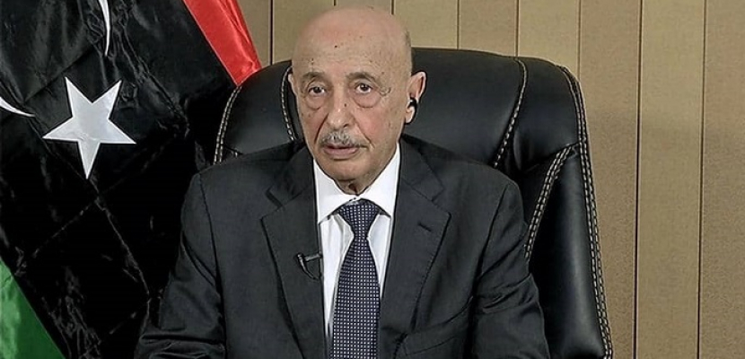 البرلمان الليبي يحذر تركيا من التدخل العسكري في البلاد