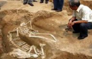 اكتشاف قبر لزوج أميرة عمره 1300 عام شمال غربي الصين