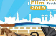 مهرجان الإسكندرية للفيلم القصير يعلن تفاصيل مسابقة أفلام الطلبة