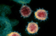 فيروس كورونا المتحور “يتحور مجددا”.. وهذه خطورته
