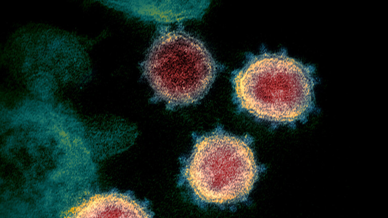 فيروس كورونا المتحور “يتحور مجددا”.. وهذه خطورته