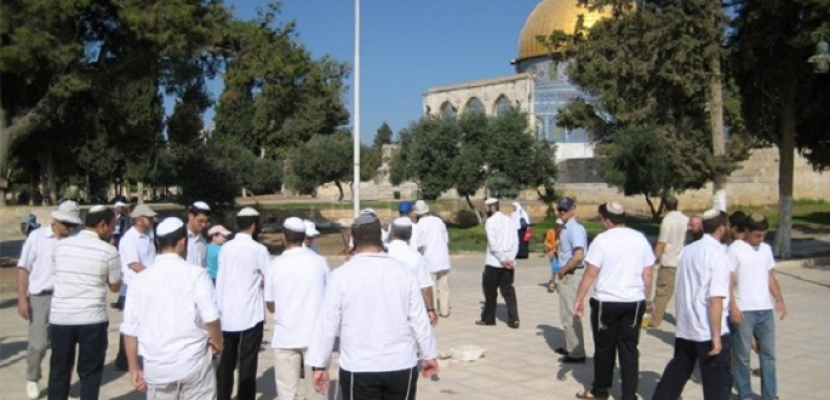 مستوطنون يقتحمون المسجد الأقصى وسط حراسة شرطة الاحتلال الإسرائيلي