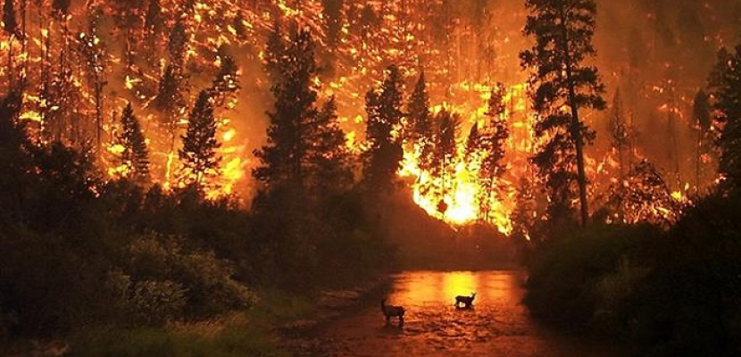 إخلاء منازل مقاطعة بريتش كولومبيا الكندية مع استمرار حرائق الغابات