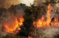 حرائق الغابات تمتد إلى مناطق جديدة بلبنان والجيش يدفع بمروحياته لمحاصرتها
