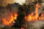 الرئيس اللبناني يطلب سرعة محاصرة وإخماد حرائق الغابات ومنع امتدادها للمنازل