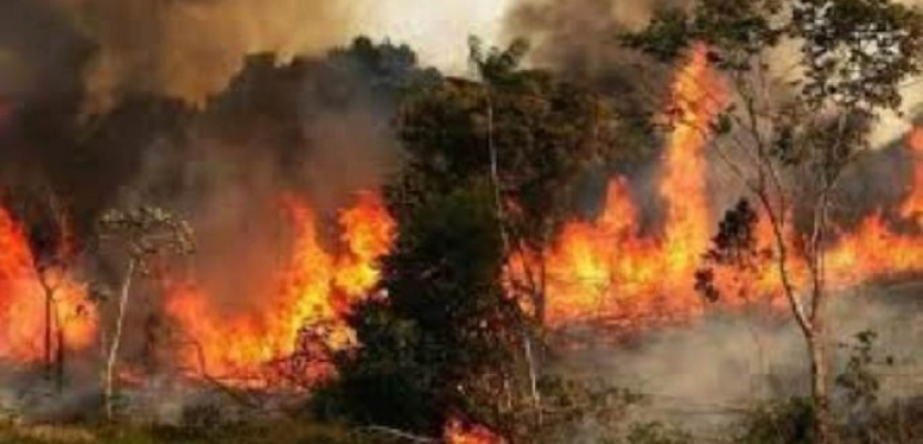 حرائق الغابات تمتد إلى مناطق جديدة بلبنان والجيش يدفع بمروحياته لمحاصرتها