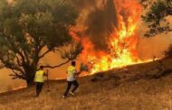 الرئيس الجزائري يصف الحرائق في بلاده بالكارثة ويعلن اعتقال 22 مشتبها بهم