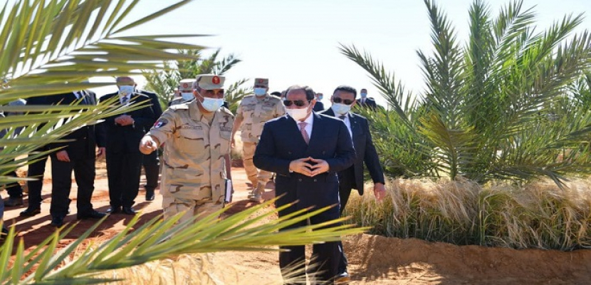الرئيس السيسي يشهد بدء موسم حصاد القمح في توشكى بمحافظة أسوان