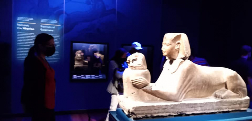 افتتاح معرض “رمسيس وذهب الفراعنة” بسان فرانسيسكو