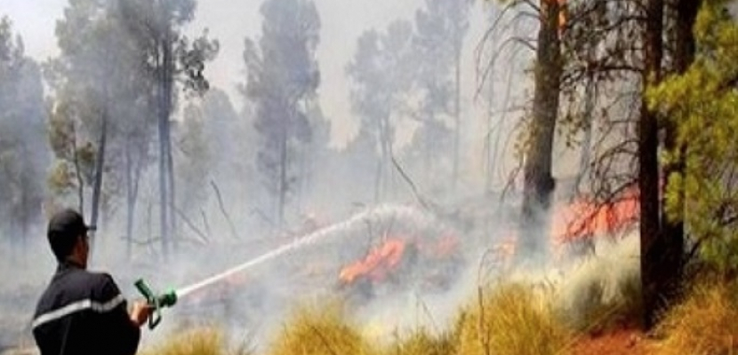 إجلاء أكثر من 1500 شخص في الصين جراء حرائق الغابات