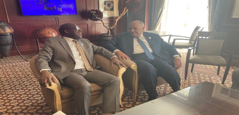 وزير الخارجية يلتقي نظيره الكونغولي على هامش أعمال المجلس التنفيذي للاتحاد الإفريقي