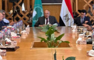 وزير الخارجية: وحدة الدول الإفريقية وتعاونها هما الأساس للتغلب على تحديات القارة