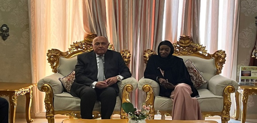 وزير الخارجية يصل ندجامينا في مستهل زيارة إلى تشاد وجنوب السودان
