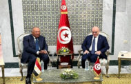 شكري يؤكد دعم مصر لإجراءات الرئيس التونسي لبناء مستقبل أفضل لبلاده