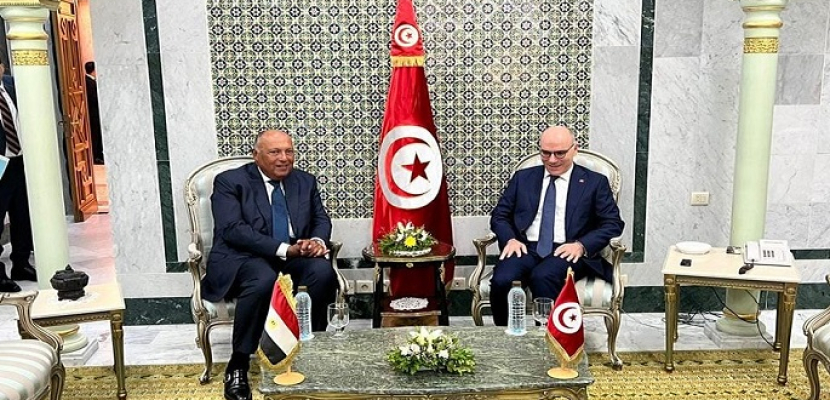 شكري يؤكد دعم مصر لإجراءات الرئيس التونسي لبناء مستقبل أفضل لبلاده