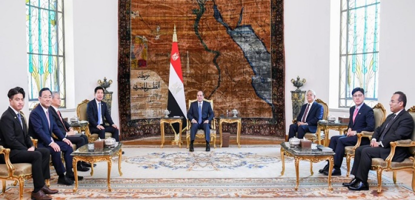 الرئيس السيسي يؤكد ضرورة استناد التسوية العادلة للقضية الفلسطينية على حل الدولتين