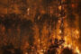 السلطات الأسترالية تحذر من تفشي حرائق الغابات بولاية “فكتوريا” بسبب الطقس الحار