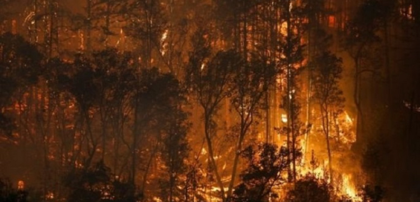 السلطات الأسترالية تحذر من تفشي حرائق الغابات بولاية “فكتوريا” بسبب الطقس الحار