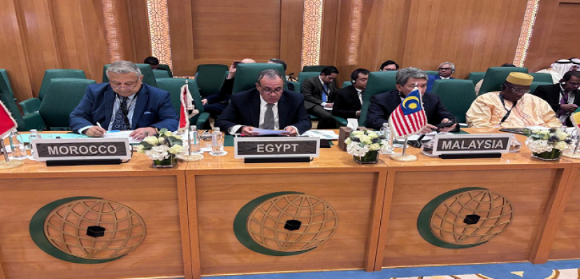 وزير الخارجية: إسرائيل تتحمل المسئولية الكاملة عن استمرار الحرب بغزة وتتجاهل محاولات الوسطاء للتوصل لهدنة