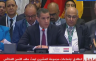 الممثل الشخصى للرئيس: استضافة مصر لاجتماع العشرين “تاريخى”