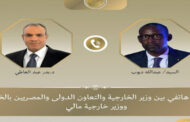 وزير الخارجية يؤكد تضامن مصر مع مالي ويجدد إدانة الهجمات الإرهابية