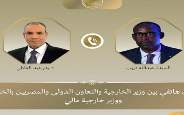وزير الخارجية يؤكد تضامن مصر مع مالي ويجدد إدانة الهجمات الإرهابية