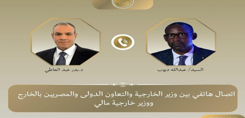 وزير الخارجية يؤكد تضامن مصر مع مالي ويجدد إدانة الهجمات الإرهابية
