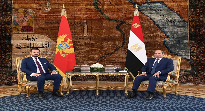 الرئيس السيسى يشدد على حرص مصر على استكشاف آفاق جديدة لتطوير العلاقات الثنائية مع جمهورية الجبل الأسود