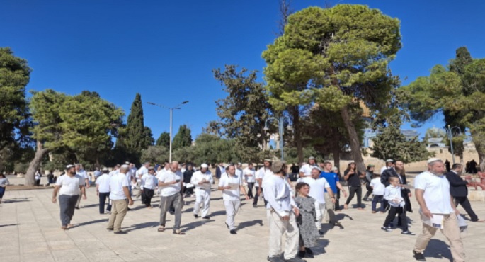 نحو 900 مستوطن يقتحمون المسجد الأقصى يتقدمهم بن جفير وكاتس
